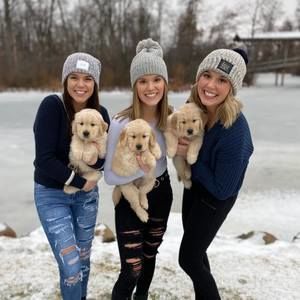 Meet your Posher, Ross